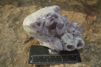 Natural Sugar Amethyst Clusters  x 2 From Zambia - Toprock Gemstones and Minerals 