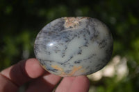 Polished Dendritic Opal Galet / Palm Stone x 12 from Madagascar