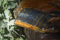 Natural Sliced Tigers Eye Specimen x 1 From Prieska, South Africa - Toprock Gemstones and Minerals 