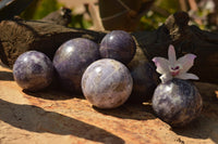 Polished Purple Lepidolite Mica Spheres  x 6 From Madagascar - TopRock