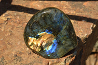 Polished Labradorite Standing Free Forms With Intense Blue & Gold Flash x 2 From Sakoany, Madagascar - TopRock