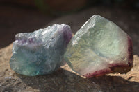 Natural Rough Watermelon Fluorite Cobbed Specimens  x 24 From Uis, Namibia