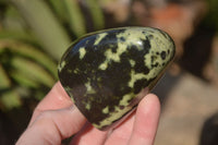 Polished Leopard Stone Free Forms  x 6 From Inyanga, Zimbabwe