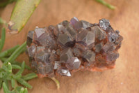 Natural Dark Amethyst Clusters (Stone Sealed) x 12 From Zambia