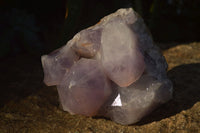 Natural Jacaranda Amethyst Cluster  x 1 From Zambia - Toprock Gemstones and Minerals 