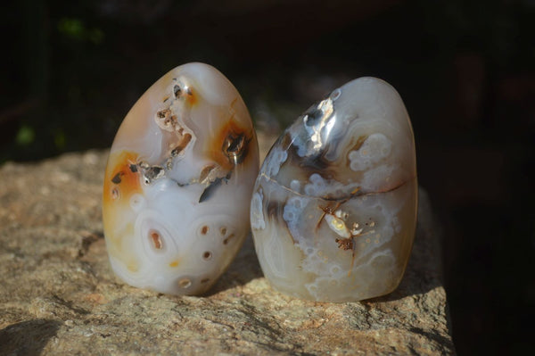 Polished Dendritic Agate Standing Free Forms  x 6 From Madagascar