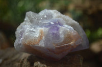 Natural Jacaranda Amethyst Clusters  x 3 From Mumbwa, Zambia - Toprock Gemstones and Minerals 