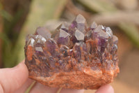 Natural Dark Amethyst Clusters (Stone Sealed) x 12 From Zambia