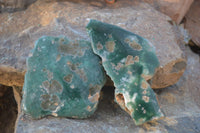 Polished  One Side Polished Emerald Mtorolite Plates  x 4 From Zimbabwe