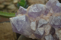 Natural Jacaranda Amethyst Cluster x 1 From Mumbwa, Zambia - TopRock