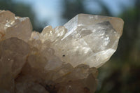 Natural Cascading White Phantom Smokey Quartz Clusters  x 3 From Luena, Congo - TopRock