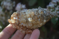 Natural Clear Hematoid Quartz With Goethite Inclusions x 13 From Zambia