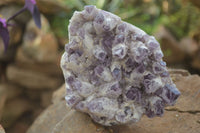 Natural Sugar Amethyst Clusters  x 2 From Zambia - Toprock Gemstones and Minerals 