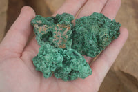 Natural Silky Malachite Specimens  x 14 From Kasompe, Congo - TopRock