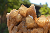 Natural Cascading White Phantom Smokey Quartz Cluster  x 1 From Luena, Congo - TopRock