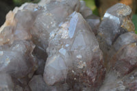 Natural Large Red Hematoid Quartz Cluster x 1 From Karoi, Zimbabwe