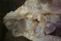 Natural Jacaranda Amethyst Cluster x 1 From Mumbwa, Zambia - TopRock