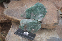 Natural Rough Jade Cobbed Specimens  x 12 From Swaziland - Toprock Gemstones and Minerals 