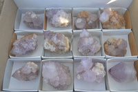 Natural Spirit Amethyst Cactus Quartz Clusters x 12 From Boekenhouthoek, South Africa