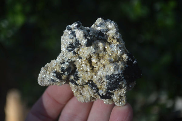 Natural Schorl Black Tourmaline Specimens x 12 From Erongo, Namibia