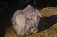 Natural Jacaranda Amethyst Cluster  x 1 From Zambia - Toprock Gemstones and Minerals 