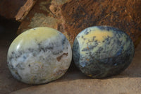 Polished Dendritic Opal Galet / Palm Stone x 12 from Madagascar