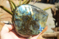 Polished Labradorite Standing Free Forms With Intense Blue & Gold Flash x 2 From Sakoany, Madagascar - TopRock