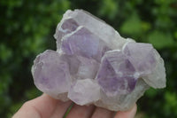 Natural Jacaranda Amethyst Clusters  x 3 From Mumbwa, Zambia - Toprock Gemstones and Minerals 