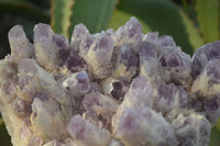 Natural Sugar Amethyst Clusters  x 2 From Zambia - Toprock Gemstones and Minerals 