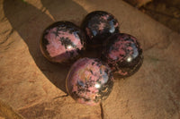 Polished  Pink & Black Rhodonite Spheres x 4 From Madagascar