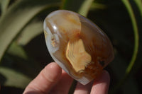 Polished Dendritic Agate Standing Free Forms  x 6 From Madagascar