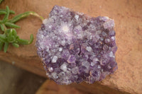 Natural Dark Amethyst Clusters (Stone Sealed) x 12 From Zambia