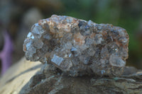 Natural Clear Hematoid Quartz With Goethite Inclusions x 13 From Zambia