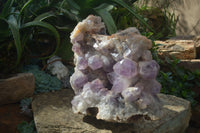 Natural Jacaranda Amethyst Cluster x 1 From Mumbwa, Zambia - TopRock