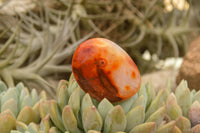 Polished Small Carnelian Palm Stones / Gallets - sold per kg - From Madagascar - TopRock