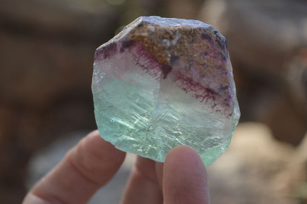 Natural Rough Watermelon Fluorite Cobbed Specimens  x 24 From Uis, Namibia