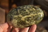 Polished  Spotted Leopard Stone Free Forms  x 6 From Inyanga, Zimbabwe