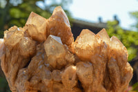 Natural Cascading White Phantom Smokey Quartz Cluster  x 1 From Luena, Congo - TopRock