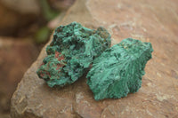 Natural Silky Malachite Specimens  x 14 From Kasompe, Congo - TopRock