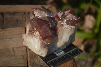 Natural Red Hematoid Quartz Specimens  x 2 From Karoi, Zimbabwe - Toprock Gemstones and Minerals 