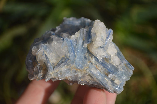 Natural Blue Kyanite Matrix Specimens  x 5 From Zimbabwe