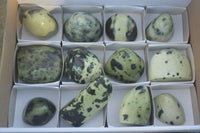 Polished Spotted Leopard Stone Standing Free Forms  x 12 From Nyanga & Shamva, Zimbabwe - Toprock Gemstones and Minerals 