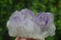 Natural Jacaranda Amethyst Clusters  x 3 From Mumbwa, Zambia - Toprock Gemstones and Minerals 