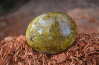 Polished selected Green Opal Palm Stones x 12 From Antsirabe, Madagascar - Toprock Gemstones and Minerals 