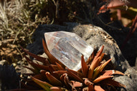 Polished Clear Quartz Crystal Points x 24 From Madagascar - TopRock