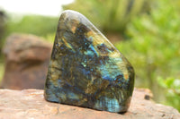 Polished Labradorite Standing Free Forms With Blue & Gold Flash  x 2 From Tulear, Madagascar - TopRock