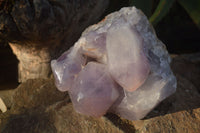 Natural Jacaranda Amethyst Cluster  x 1 From Zambia - Toprock Gemstones and Minerals 