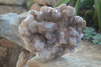 Natural Large Red Hematoid Quartz Cluster x 1 From Karoi, Zimbabwe