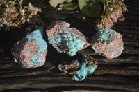 Natural Drusy Coated Chrysocolla On Dolomite Specimens x 4 From Congo