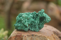 Natural Silky Malachite Specimens  x 14 From Kasompe, Congo - TopRock